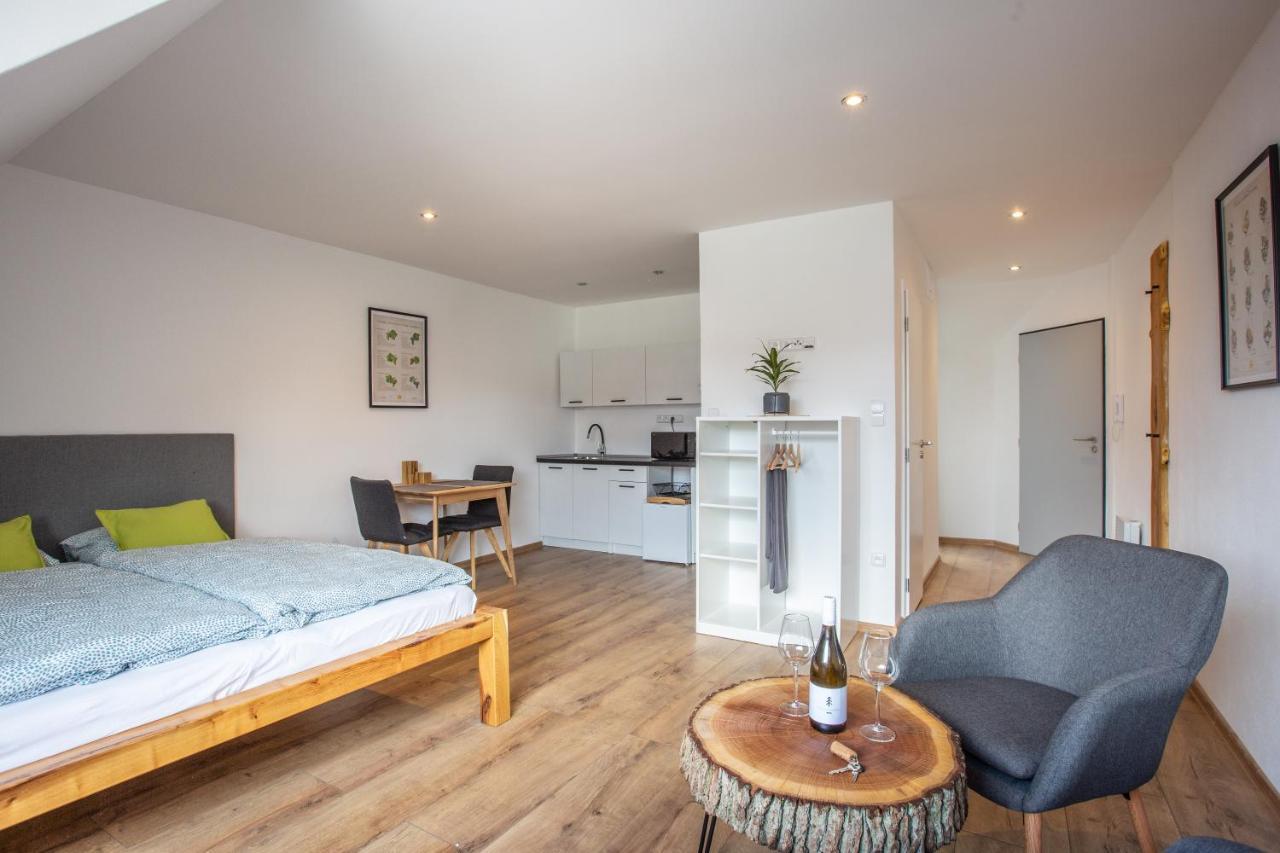 Apartmany Na Mikulasskem Namesti Znojmo Luaran gambar