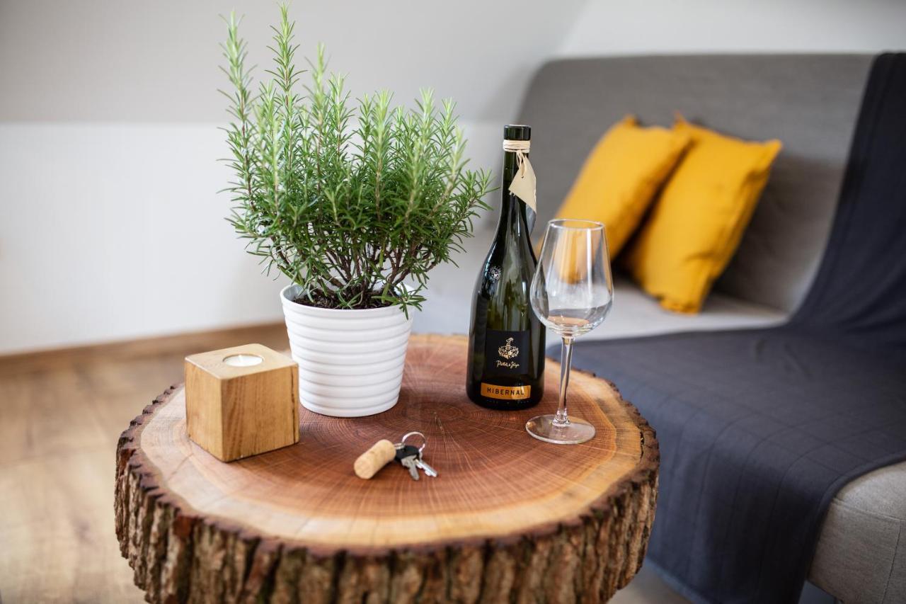 Apartmany Na Mikulasskem Namesti Znojmo Luaran gambar